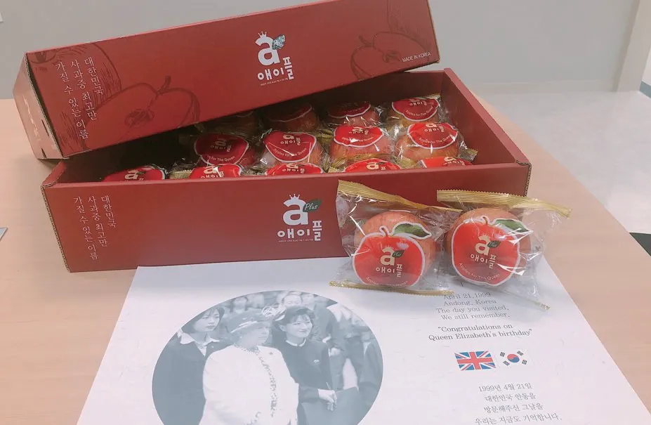 안동농협 에이플 사과