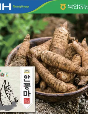 안동마